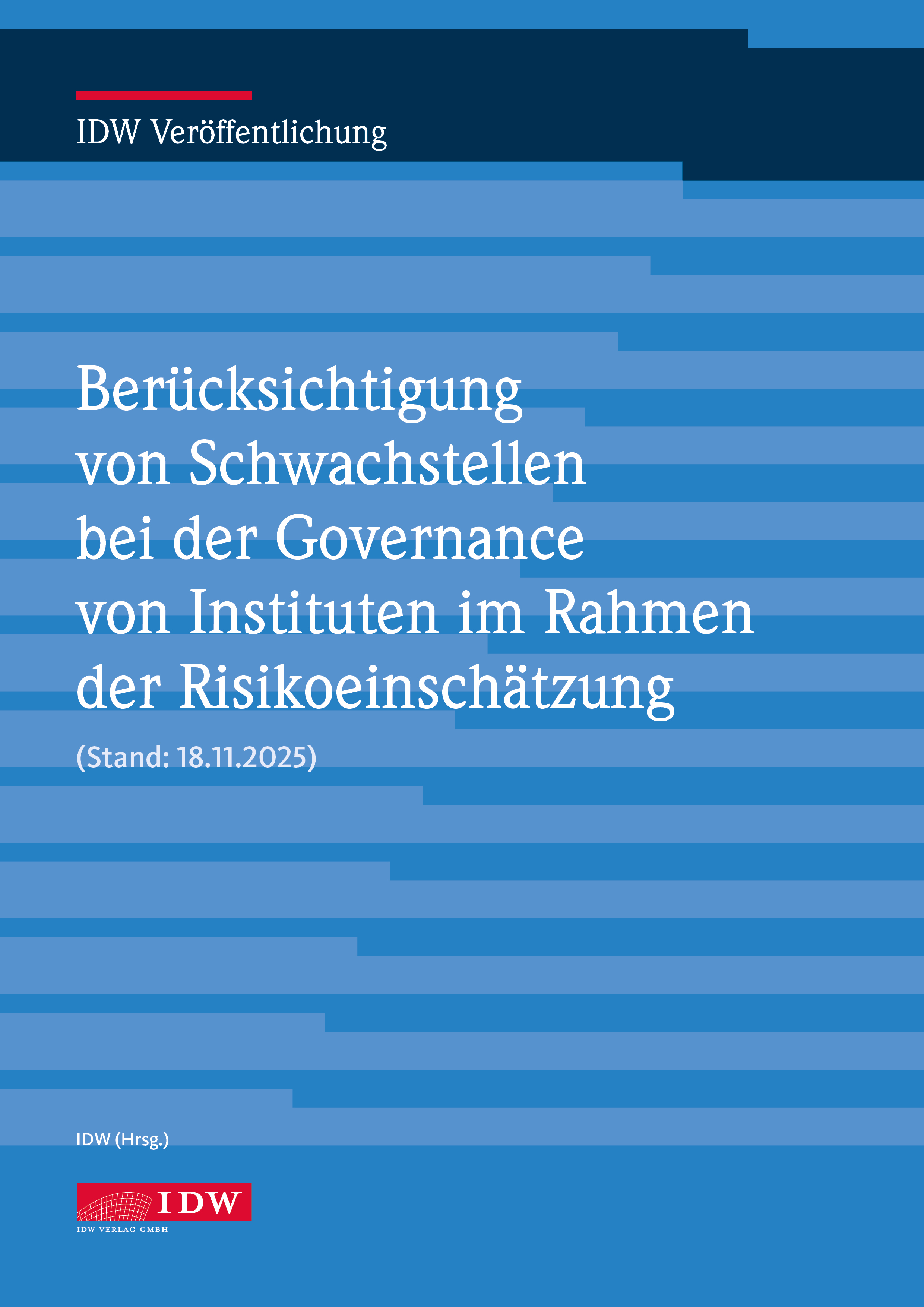 Berücksichtigung von Schwachstellen bei der Governance von Instituten im Rahmen der Risikoeinschätzung