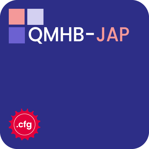 Jahresabschlussprüfung - QMHB