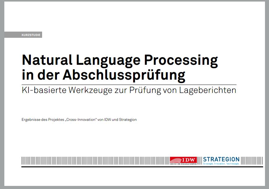 Natural Language Processing in der Abschlussprüfung