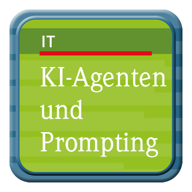KI-Agenten und Prompting in der Wirtschaftsprüfung, 1. Auflage